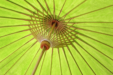 Green structure of the umbrella rod of abstract background.