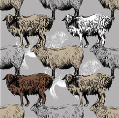 Seamless pattern with sheep. Wool, yarn, design. Drawing by hand in vintage style.