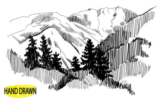 Mountain landscape with trees. Pines in the mountains. Drawing by hand in vintage style.