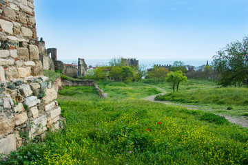 Fototapeta na wymiar Footpath to the sea and poppies in the meadow and fortress wall of the Trigonion tower in Thessaloniki, Greece.