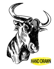 The head of the wildebeest. Drawing by hand in vintage style. Children's drawing. Hunting trophy, effigy. African animals.