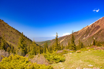 Mountain landscapes of Kyrgyzstan. Spring in the mountains.