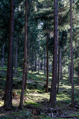 Dolomiten - Südtirol - Weltkulturerbe