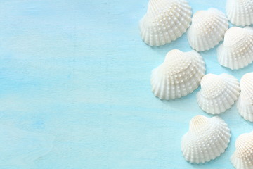 Obraz na płótnie Canvas Seashells on blue background. Summer time concept.