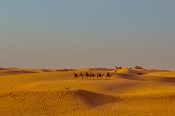 Fototapeta na wymiar Caravan with tourists among the sand dunes of the desert close up. Dubai 2019.