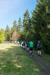 Athletes trail running in a forest