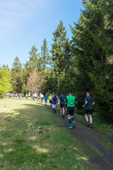 Obraz premium Athletes trail running in a forest