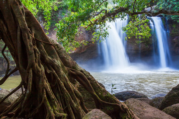 Naklejka na ściany i meble Landscape of waterfall in a tropical forest.