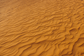 Sand dunes of the desert close up. Dubai 2019