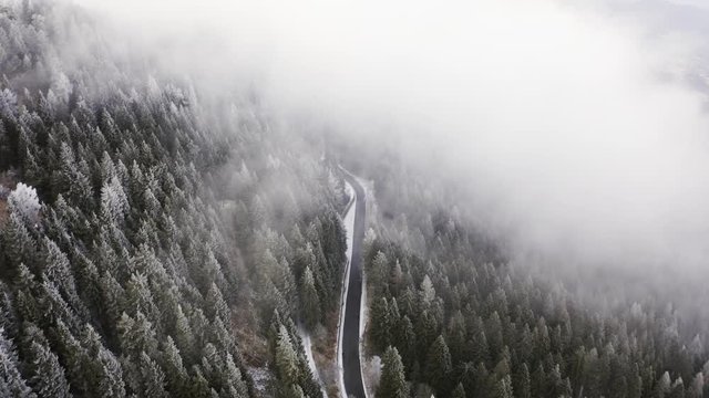Road near snowy pine woods forward aerial in cloudy bad weather.Foggy mountain forest with ice frost covered trees in Winter drone flight establisher.