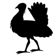 bustard .vector illustration, black silhouette ,profile
