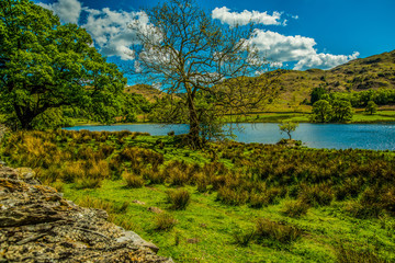Fototapeta na wymiar Grasmere, Lake District National Park, England, UK