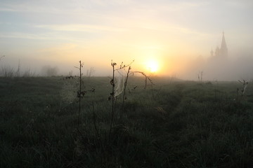 MIsty summer morning in the countryside with dew on net in meadow and church silhouette