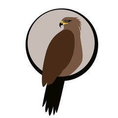 eagle hawk .vector illustration, flat style ,profile