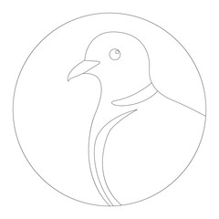 head turtledove, vector illustration, lining draw ,profile