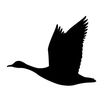 recommend clip art: goose canadian, .vector illustration,black silhouette ,profile