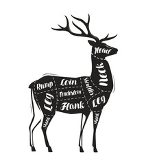 Deer meat cutting. Menu for restaurant or butcher shop. Vector