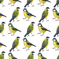Seamless pattern with tomtits