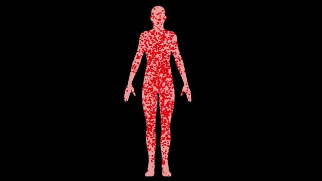 Female body filling with red  particles . 3d animation . Seamless looping 3d animation