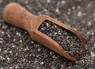 Organic Chia Seed, super food