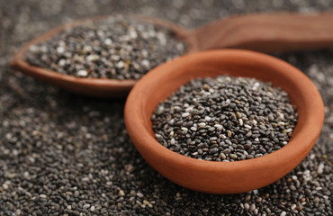 Organic Chia Seed, super food