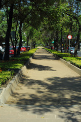 Paseo de la Reforma es una de las más emblemáticas avenidas de la Ciudad de México. Esta foto fue tomada cerca del Bosque de Chapultepec.