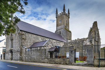 Fototapeta premium Ennis Friary, Ennis, Ireland