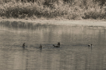 Weltkulturerbe Dolomiten
