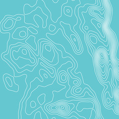 Fototapeta na wymiar Topographic map lines background. Abstract vector illustration. Contour vector map.