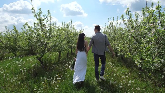 Back view of mixed race couple in love during romantic walk in blooming apple orchard. Young man and woman walking holding hands enjoying beauty of flowering trees on sunny spring day