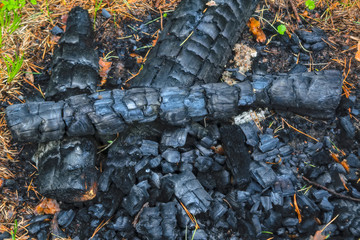 Charcoal of an extinct fire in the forest. Close-up.