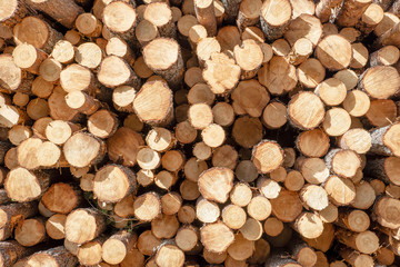slices of logs in the form of a background