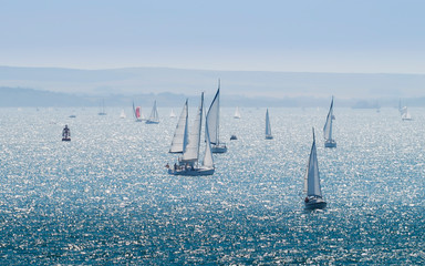 several sailing boats on a sparkling sea