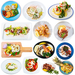 Assorted squid and cuttlefish dishes on a white background