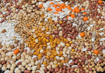 Legumes