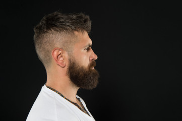 Man handsome hipster stylish beard and mustache. Beauty and masculinity. Bearded confident hipster. Beard fashion and barber concept. Barber tips maintain beard. Styling and trimming beard care