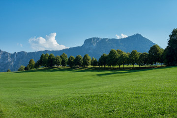 Fototapeta premium landscape in the mountains