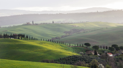 Fototapeta na wymiar hills and green fields of Val d'Orcia in Tuscany