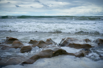 Fototapeta premium www.ivanrafreitas.com