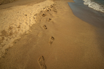  Footprints in the sand on the beach after a beach walk