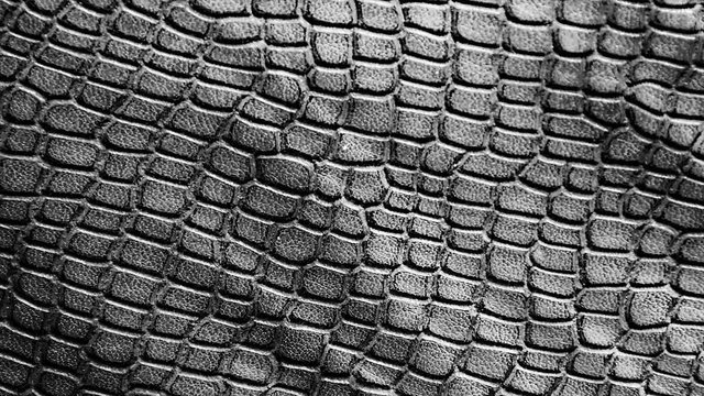 Black and white crocodile, snake skin imitation fabric cloth, bag is waving. 