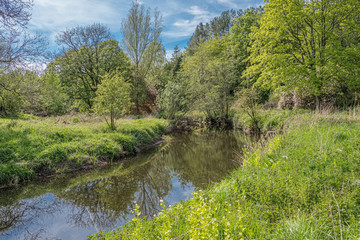 Scotlands Parks Lucious Greenery and a Gentle Flowing River with Reflections on the Water.