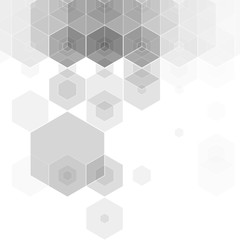 gray hexagon background. layout for advertising. template for presentation. banner polygonal style. eps 10