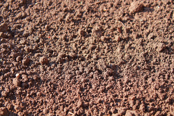 Brown dry soil. Close-up. Background. Texture.