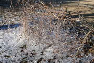 ice