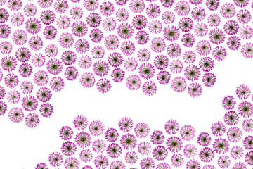 pattern of flowers in lilac colors