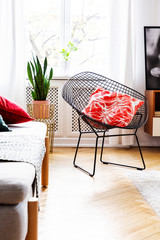 Patterned pillow on armchair in bright living room interior with plant next to window. Real photo