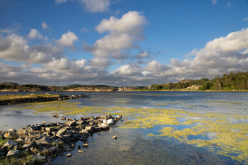 Coast near Havstenssund