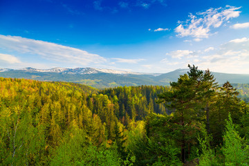 Scenic spring landscape of Giant Mountains - Karkonosze Mounatains, Poland