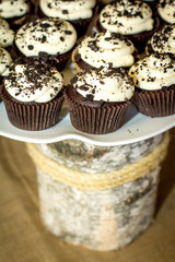 Chocolate Cupcakes